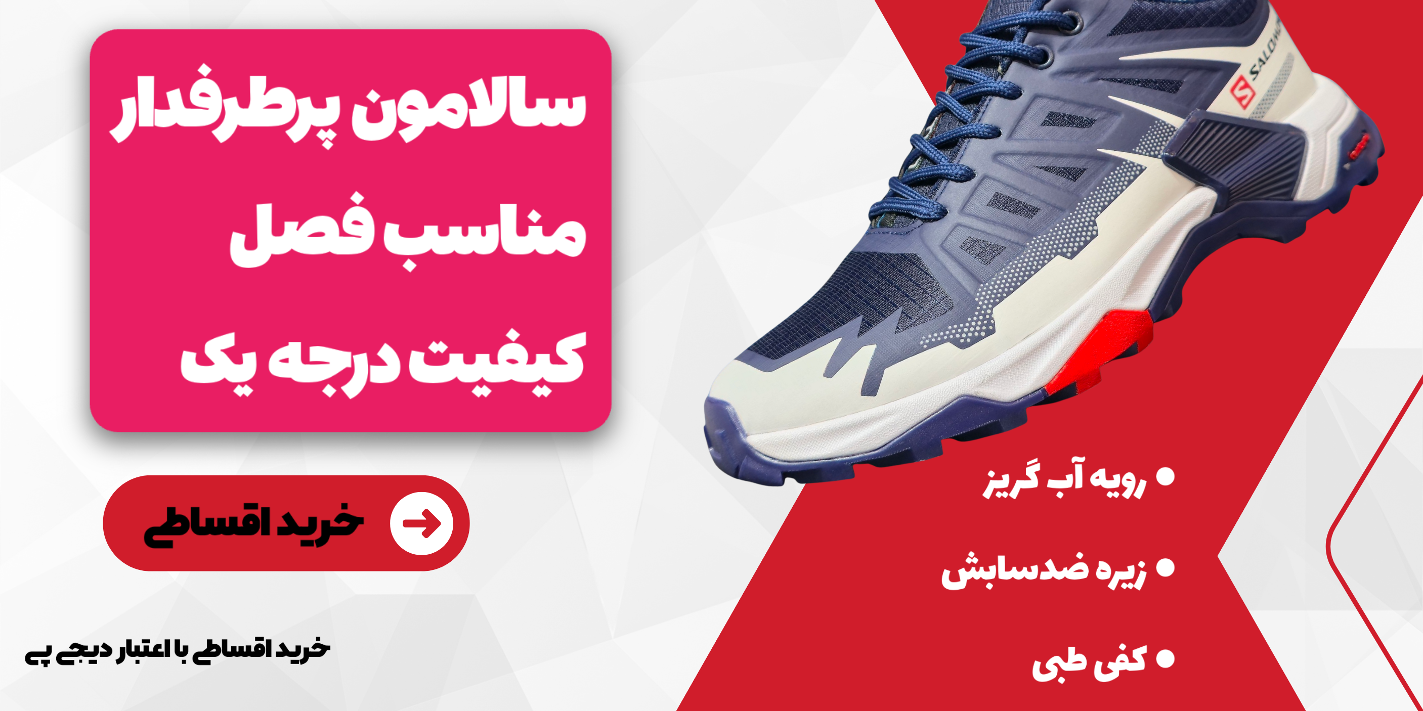 خرید اقساطی سالامون